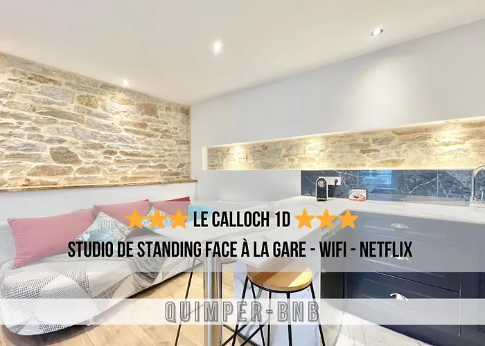 Le Calloch 1D - Wifi - Netflix - Face Gare